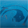 Сумка TATONKA BARREL M blue 1952.010